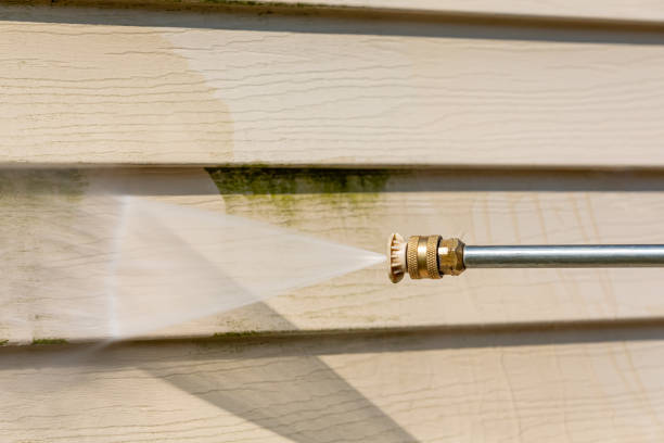 Best Roof Pressure Washing  in Ashland, KY